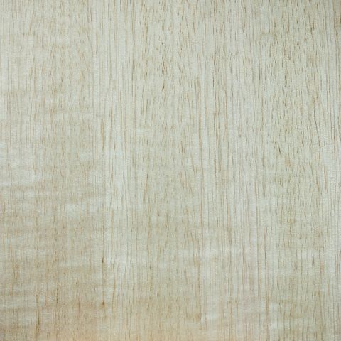 TAS ASH UNGLUED VENEER EDGE 100X22 0.6MM