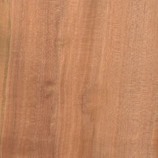 TAS MYRTLE UNGLUED VEN EDGE 100X22 0.6MM