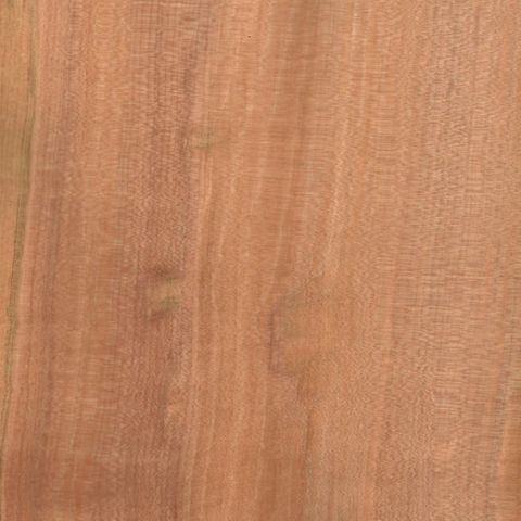TAS MYRTLE UNGLUED VENEER EDGE 100X22 0.6MM