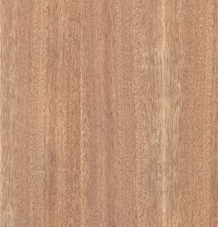 SLICED PACIFIC MAPLE QTR UG VEN LAYON 2440X1220 0.6MM