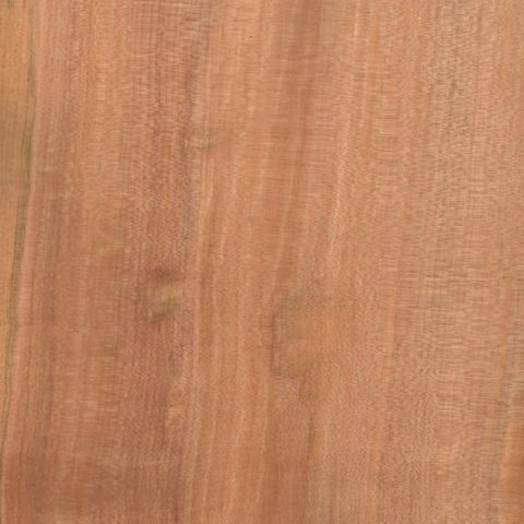 TASMANIAN MYRTLE LAYON 2400X1200 0.6MM