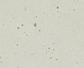 LMX TERRAZINO PERLATO NAT LAM 1800X750X0.7MM