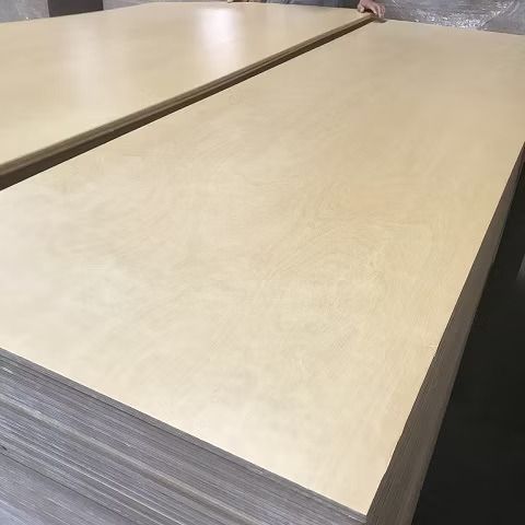 VJS VERSABIRCH PLY UV