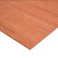 BRACE PLY F22