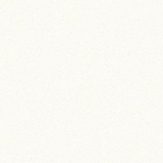 STYLELITE ARCTIC PEARL GLOSS G2S PLY 2400X1200X17MM (STPLY3975NT)