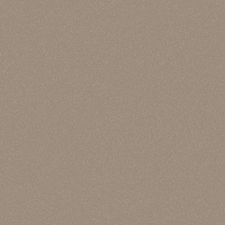 STYLELITE CHAMPAGNE GLOSS G2S PLY 2400X1200X17MM (STPLY2180NT)