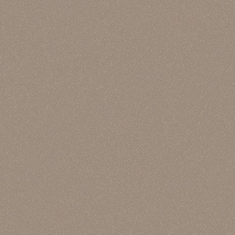 STYLELITE CHAMPAGNE GLOSS G2S PLY 2400X1200X17MM (STPLY2180NT)