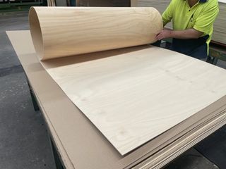 Bendy Ply