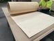 Bendy Ply