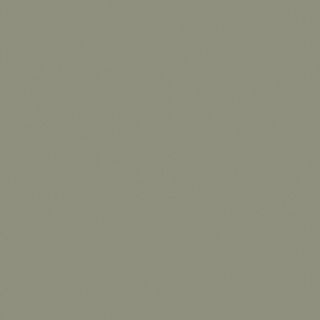 STYLELITE RAINFOREST MATTE G2S PLY 2400X1200X17MM (STPLY6910NT)