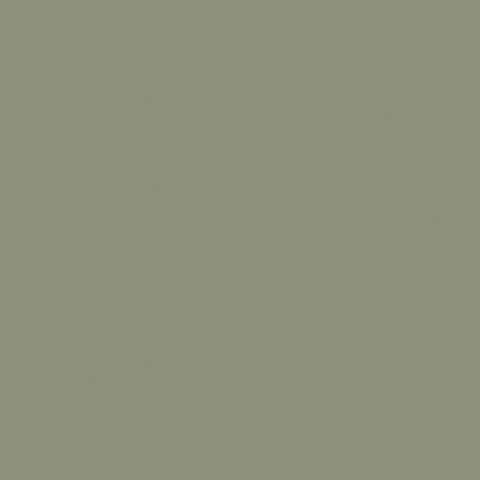 STYLELITE RAINFOREST MATTE G2S PLY 2400X1200X17MM (STPLY6910NT)