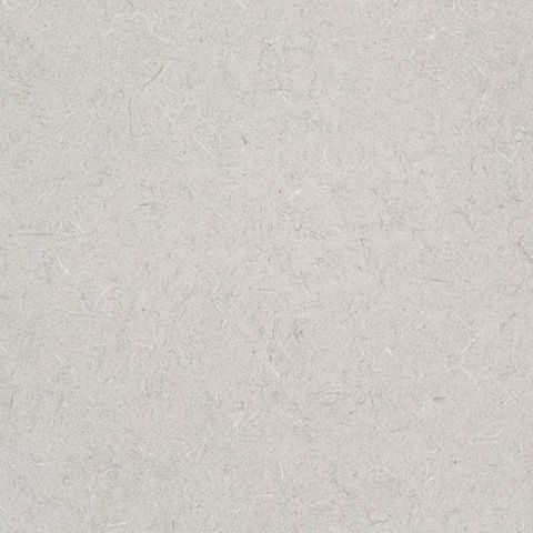 VJS STOCK TOP WHITE TIGRIS