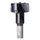 Hinge Boring Bit