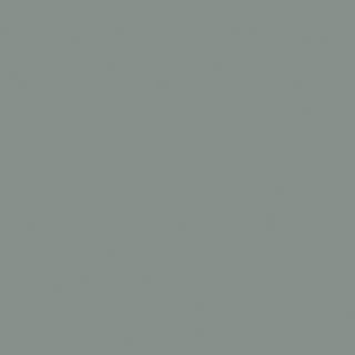 BLUE SPRUCE STP UNGLUED ABS EDGE 100X21 1MM (117816)