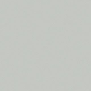 FORMICA RIVERSIDE STP UNGLUED ABS EDGE 025X22 1MM