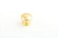 SOVEREIGN KNOB GOLD PLATED
