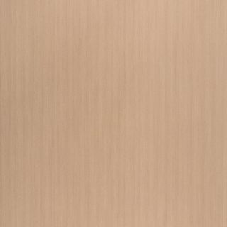 OYSTER LINEA XTREME MATT UNGLUED ABS EDGE 100X21 1MM (W/ART)