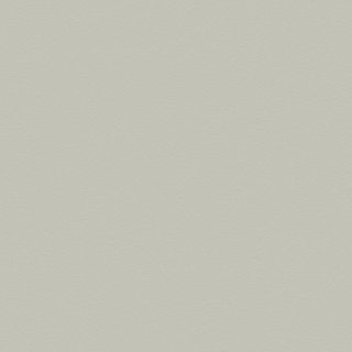 FORMICA GRASSLAND STP UNGLUED ABS EDGE 100X22 1MM
