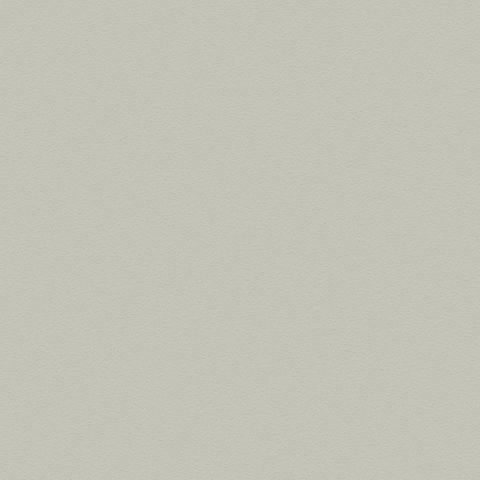 FORMICA GRASSLAND STIPPLE UNGLUED ABS EDGE 100X22 1MM