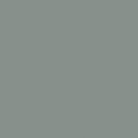 BLUE SPRUCE VEL MRM 2400X1200X16MM (457753)