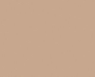 LMX OUTBACK CLAY NAT EDGE UNGLUED 100X22 1MM