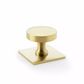 HASTINGS BACKPLATE KNOB SATIN BRASS
