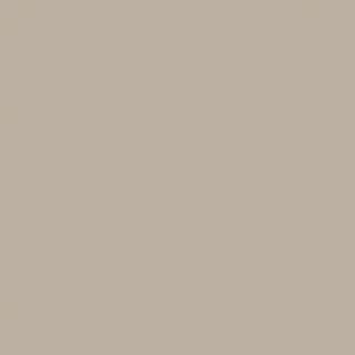 ZENOLITE SAGO 2440X1220 04MM