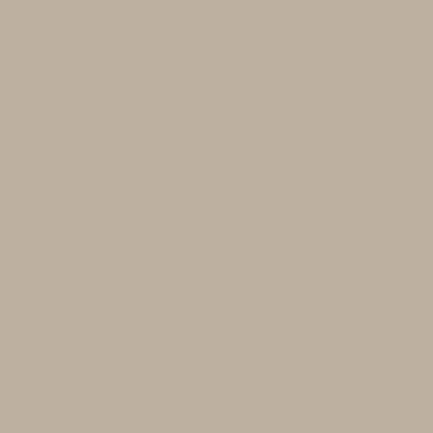 ZENOLITE SAGO 2440X1220 04MM