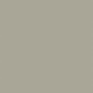 BAYE NAT UNGLUED ABS EDGE 100X22 1MM (107763)