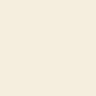 MOLESKIN NAT UNGLUED ABS EDGE 100X22 1MM