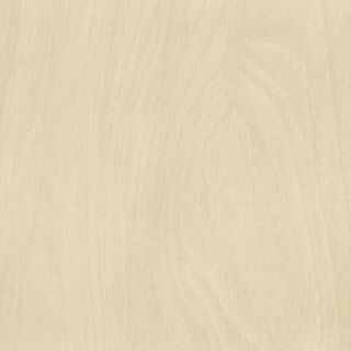 POLYTEC NATURAL PLY WOODMATT UNGLUED ABS EDGE 100X22 1MM (52609)