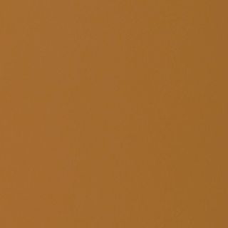 BURNT OCHRE NAT UNGLUED ABS EDGE 100X21 1MM