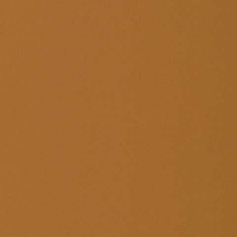 BURNT OCHRE NAT UNGLUED ABS EDGE 100X21 1MM