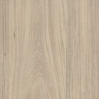 COASTAL ELM VELVET UNGLUED ABS EDGE 100X22 1MM (110394)