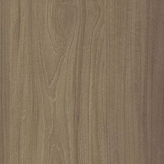 DUSKY ELM NATURALE UNGLUED ABS EDGE 100X21 1MM