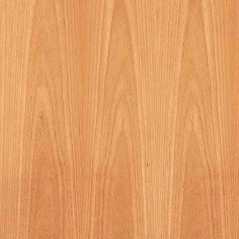 BEECH UNGLUED VEN EDGE 100X22 0.6MM