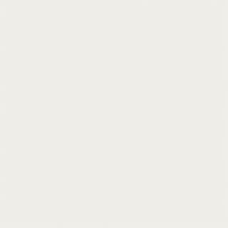 POLYTEC BLOSSOM WHITE MATT UNGLUED ABS EDGE 100X22 1MM (118162)