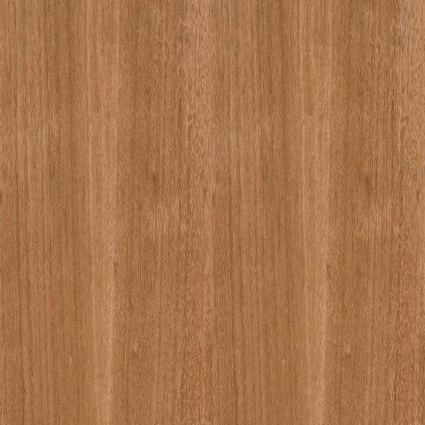 STRINGY BARK UNGLUED VENEER EDGE 100X22 0.6MM