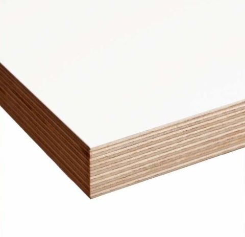FILM FACE PLY WHITE 2440X1220 24MM (ODEK)