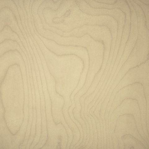 ROTARY BIRCH X/MATT UNGLUED ABS EDGE 100X22 1MM (VJS)