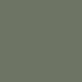 AUTUMN SAGE MATT UNGLUED ABS EDGE 100X29 1MM (VJS)