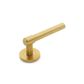COAST LEVER