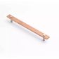 LENAH CABINET HANDLE - FACE CAPS