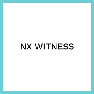 NX WITNESS