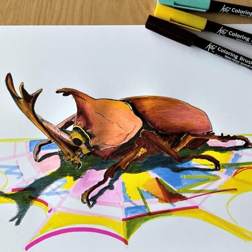 Drawing a Japanese beetle