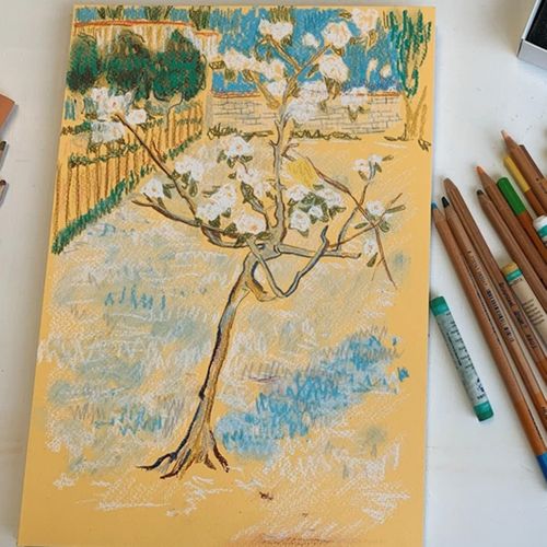 Small Pear Tree in Blossom Drawing