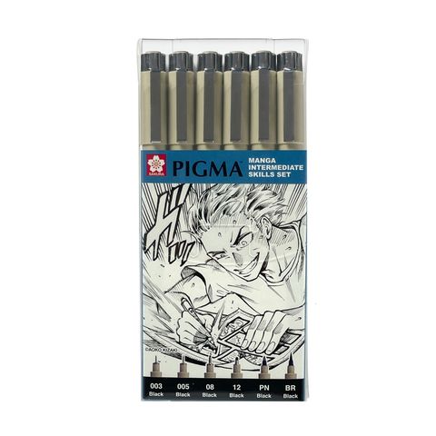 Pigma Intermediate Manga Set 6pc