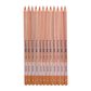 Bruynzeel Design Pastel Pencil Burnt Sienna 24