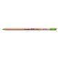 Bruynzeel Design Pastel Pencil Light Green 60