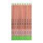 Bruynzeel Design Pastel Pencil Light Green 60